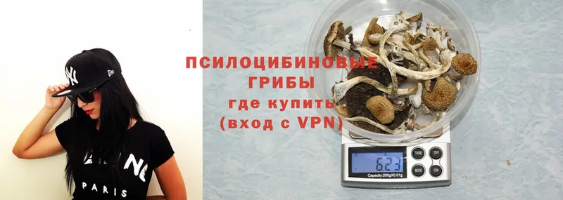 Псилоцибиновые грибы Psilocybine cubensis  купить наркотик  ОМГ ОМГ tor  Сорочинск 